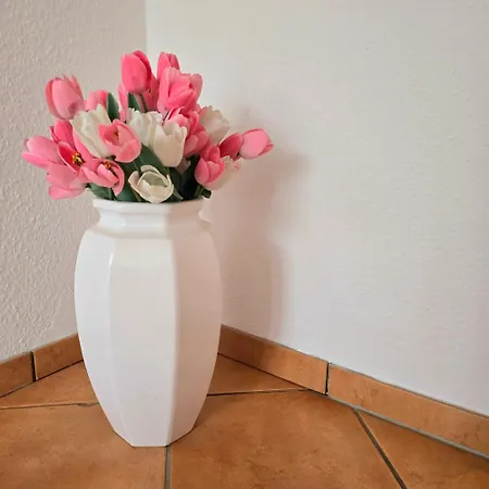 Garten Trifft Komfort By Cordissky ハノーファー